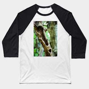 Dead tree in a young forest Baseball T-Shirt